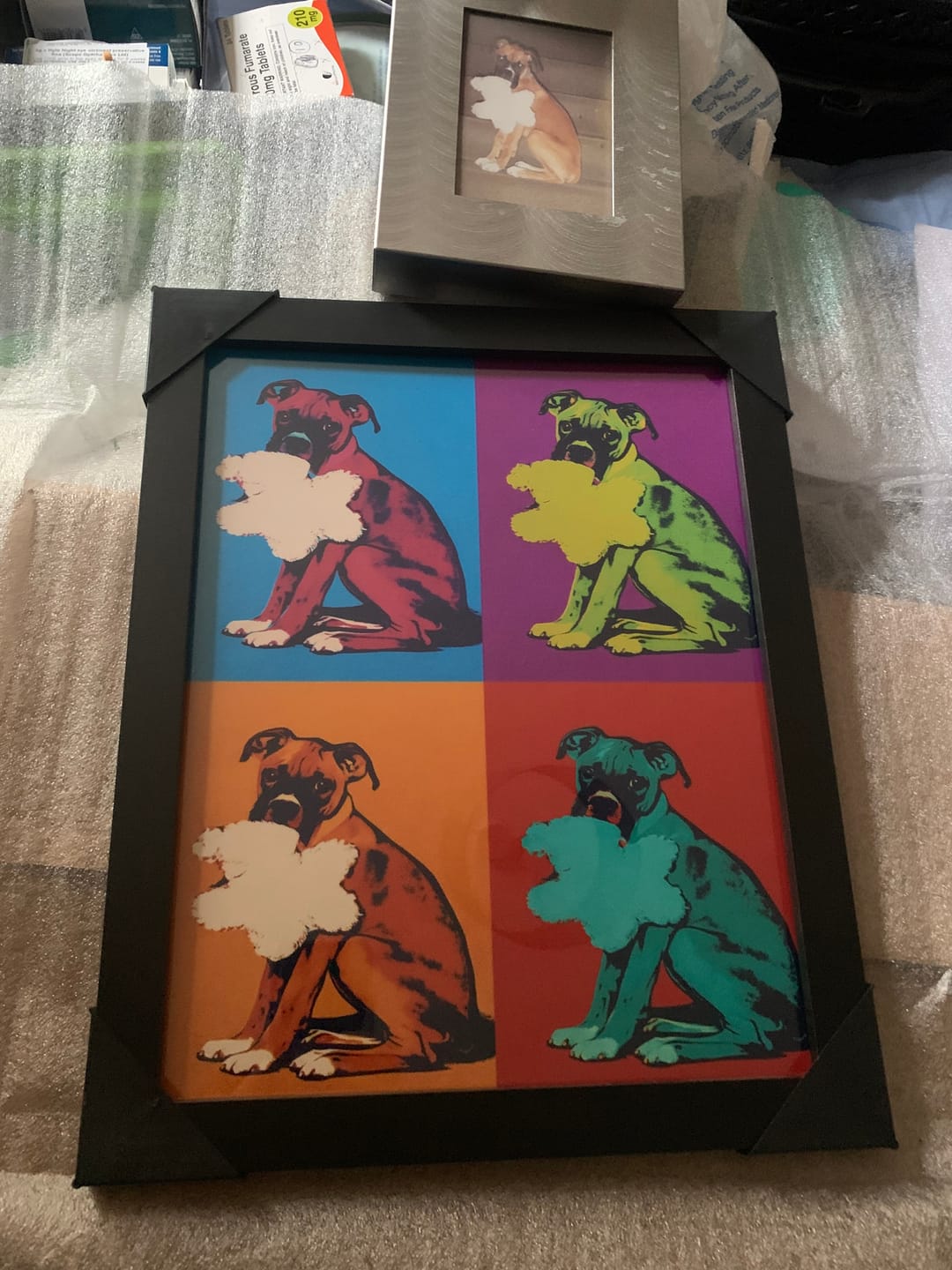 Customer photo review of Personalised Poster With Dog or Cat - Colour Squares