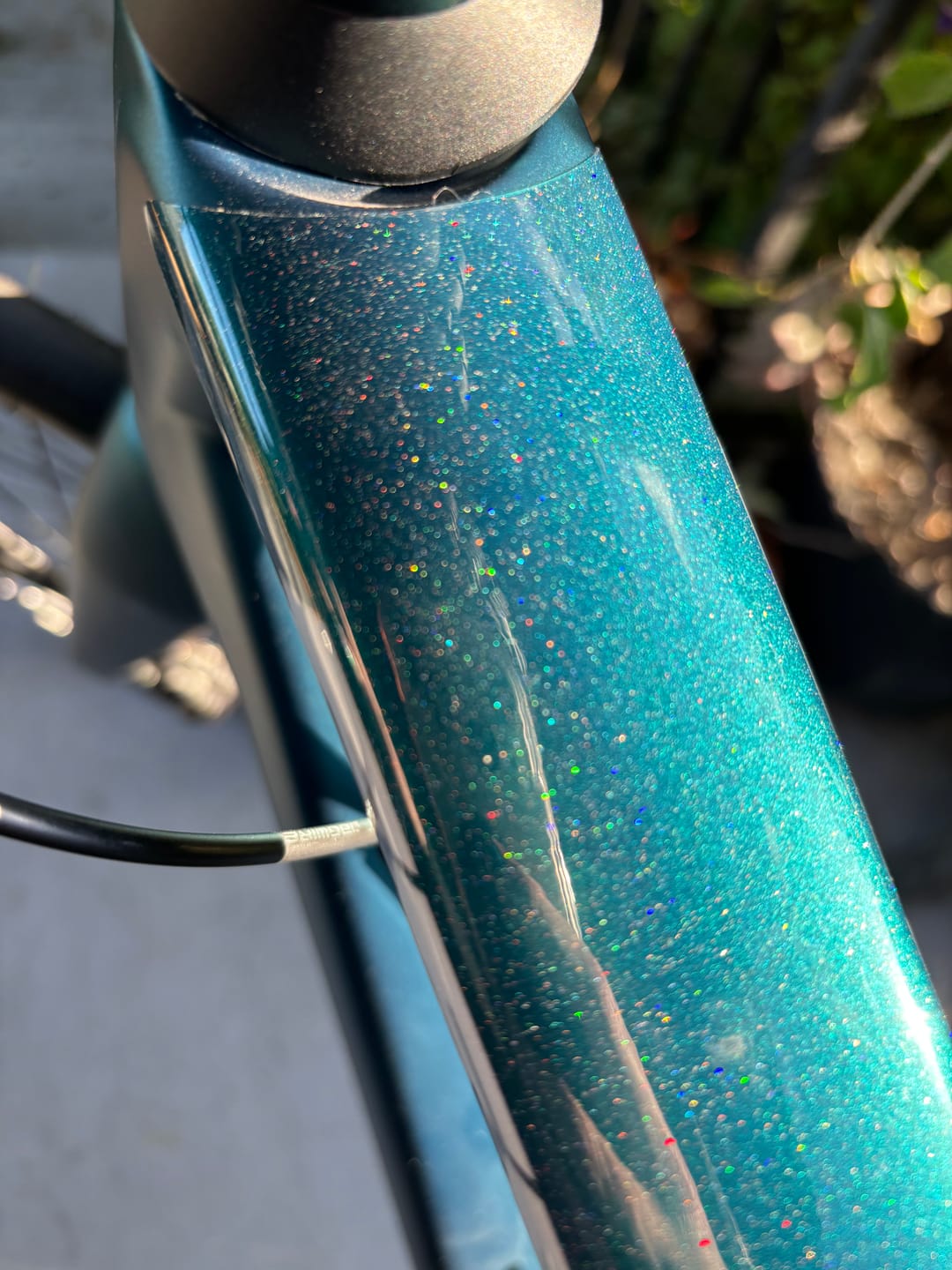 Customer photo review of Sparkle Shift Frame Keeper