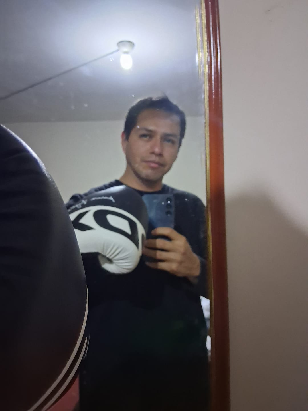 Customer photo review of Guantes de Boxeo F4