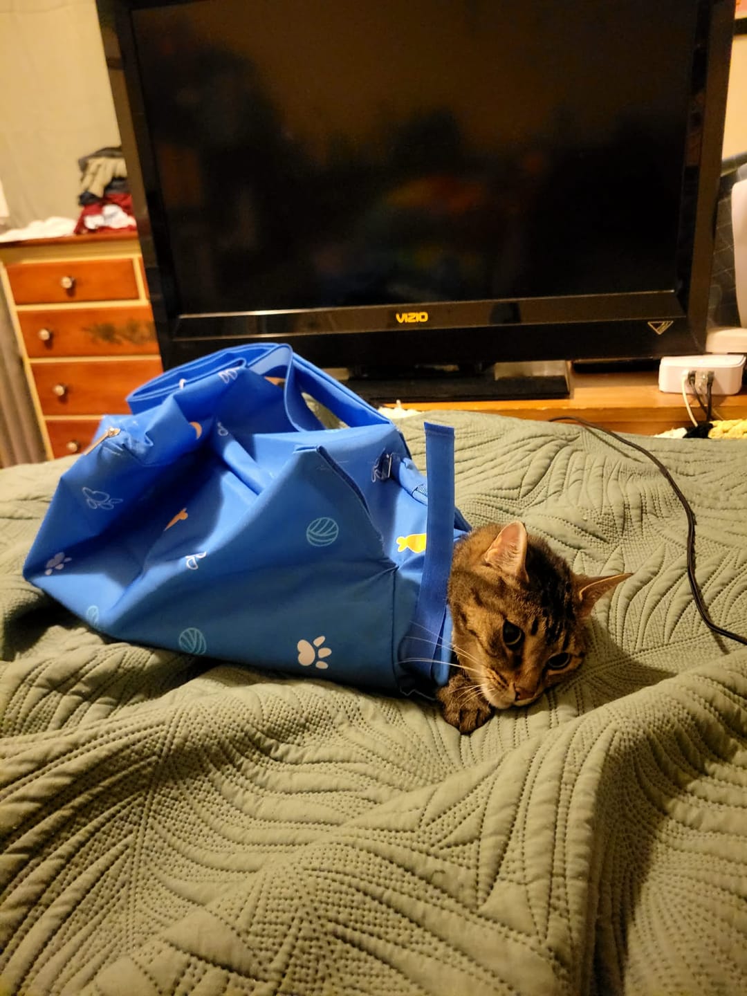 Customer photo review of Kitastic Cat Carrier