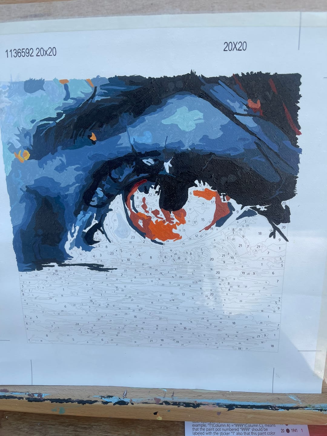 Customer photo review of Sorrowscape Eye II