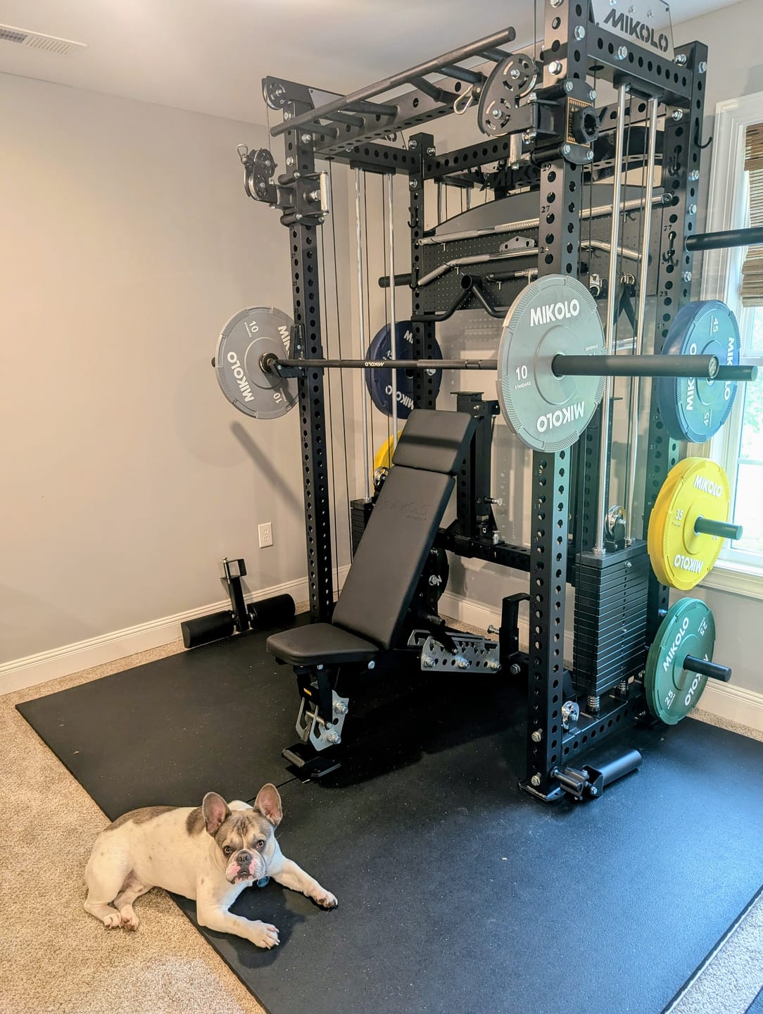 Customer photo review of ANUBIS™-2.0 Elite All-In-One Trainer