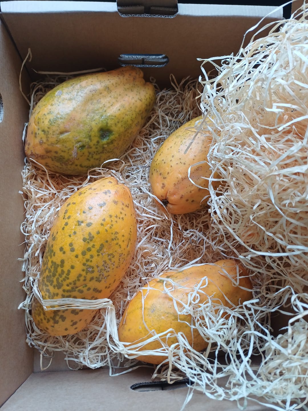 Customer photo review of Papaya Bio von Julian 3kg Box