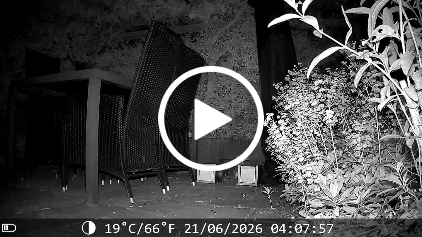 Customer video review of Siltcon® Wildcamera met Nachtzicht 4K
