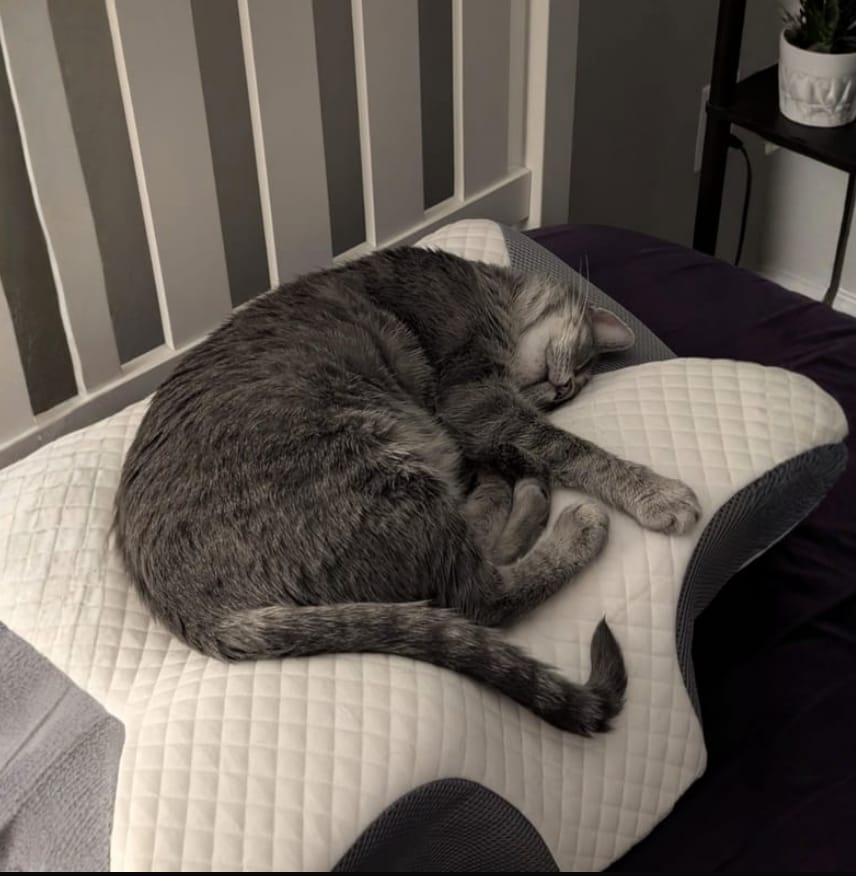 Customer photo review of Livosa - Ortopedisk stödkudde 2.0