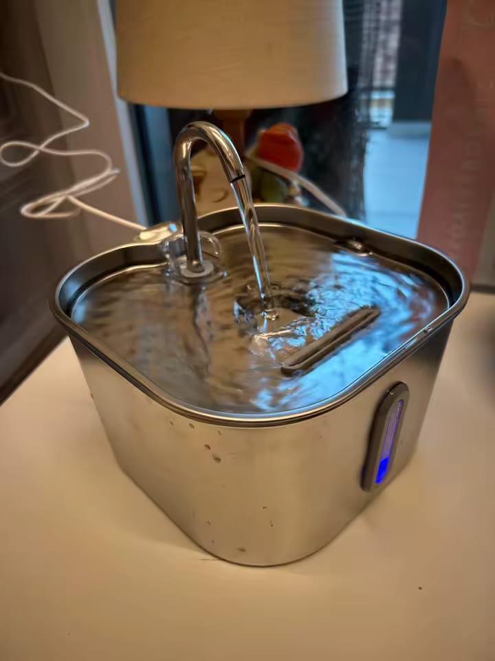 Customer photo review of KittyFlow - מזרקת מים לחתול