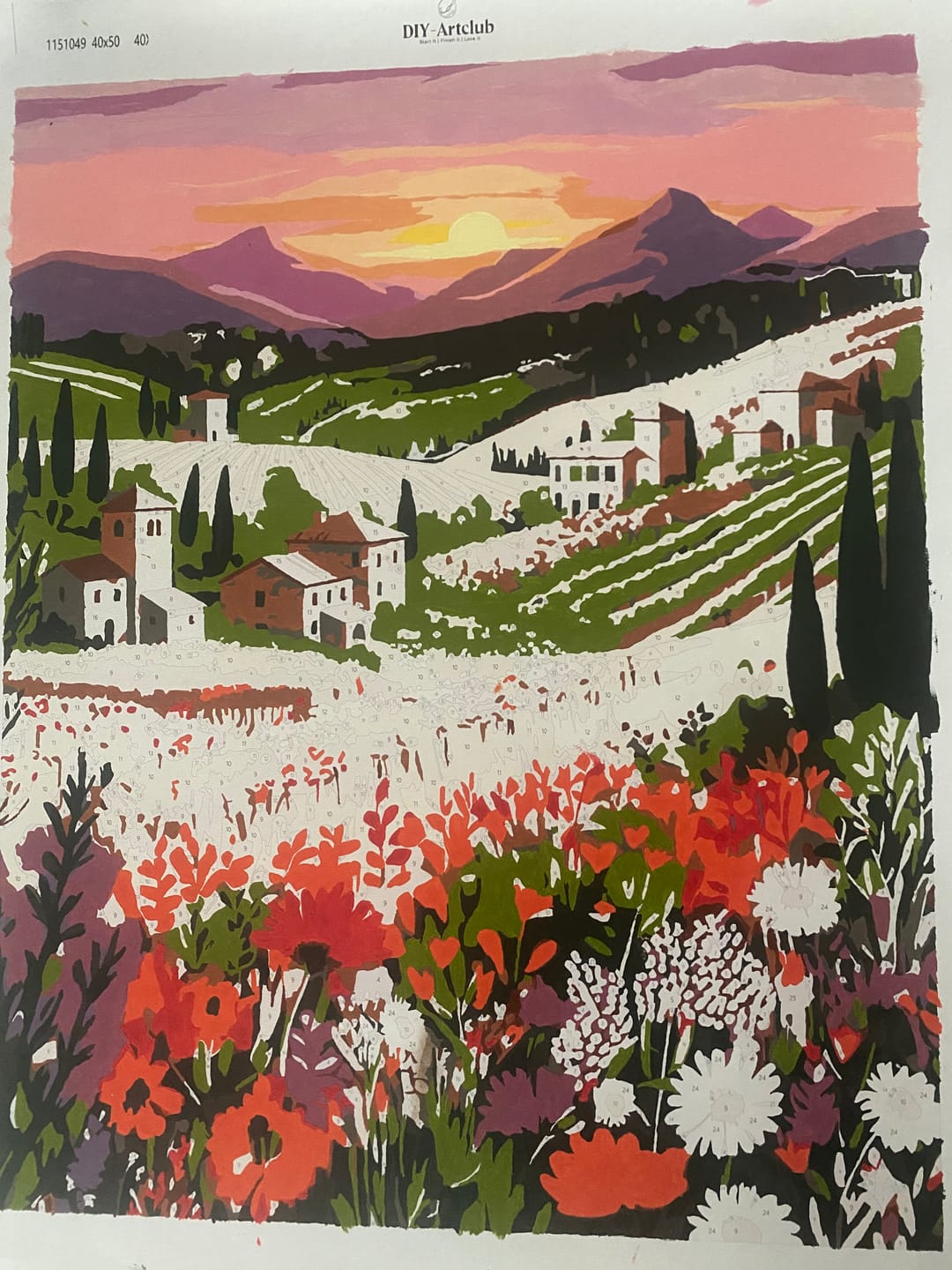 Customer photo review of Wildflower landscape | Paint by Number