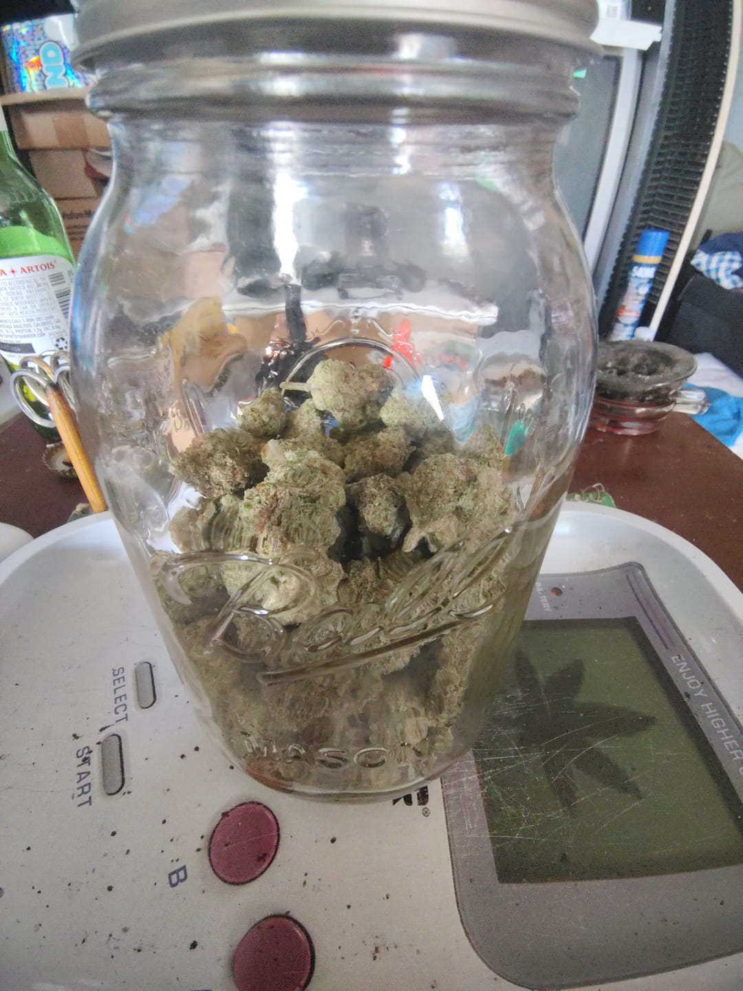 Customer photo review of Grape Gas - Bulk - Hybrid