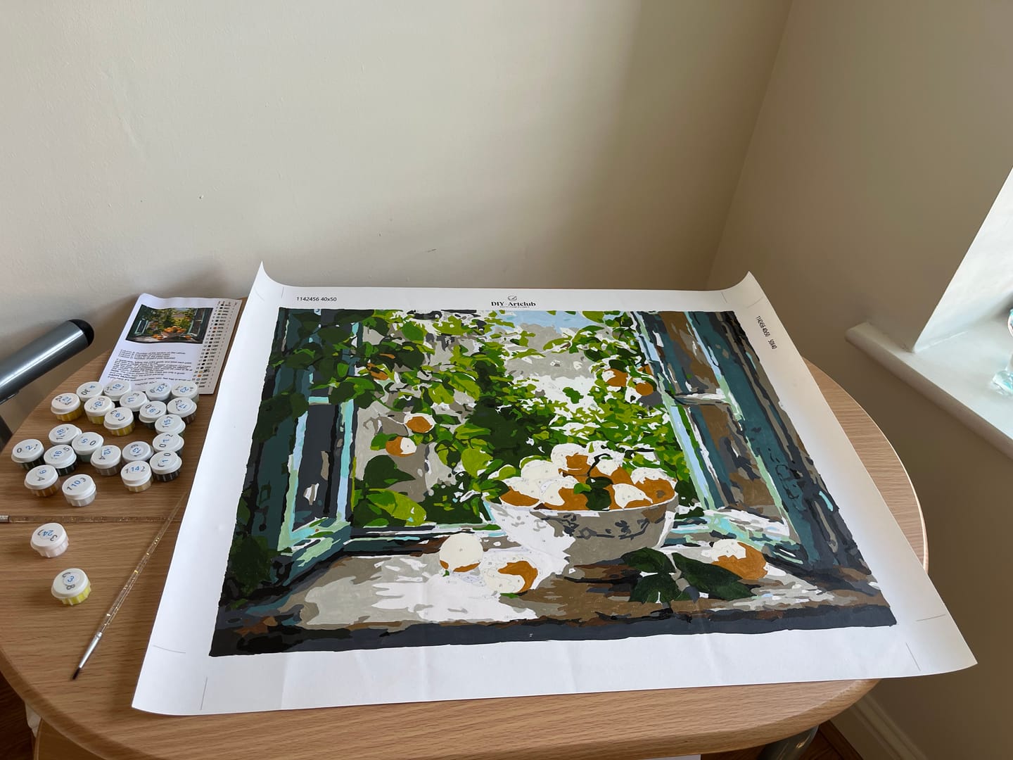 Customer photo review of Lemon Bowl at the Window | Paint by Number