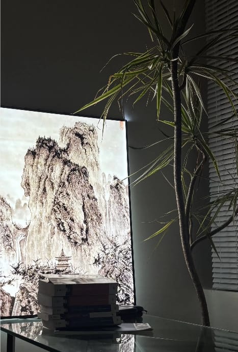Customer photo review of LED Poster Frame — Turn Any Poster Into a Professional Display