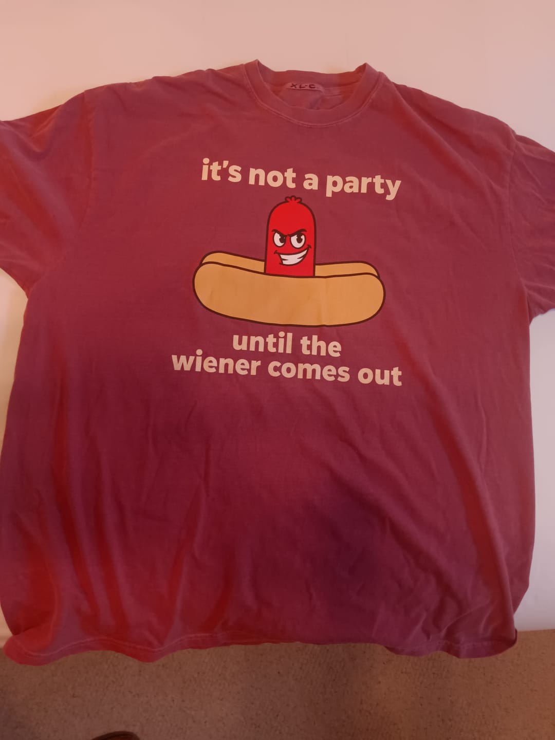Customer photo review of Not a Party — Premium Tee