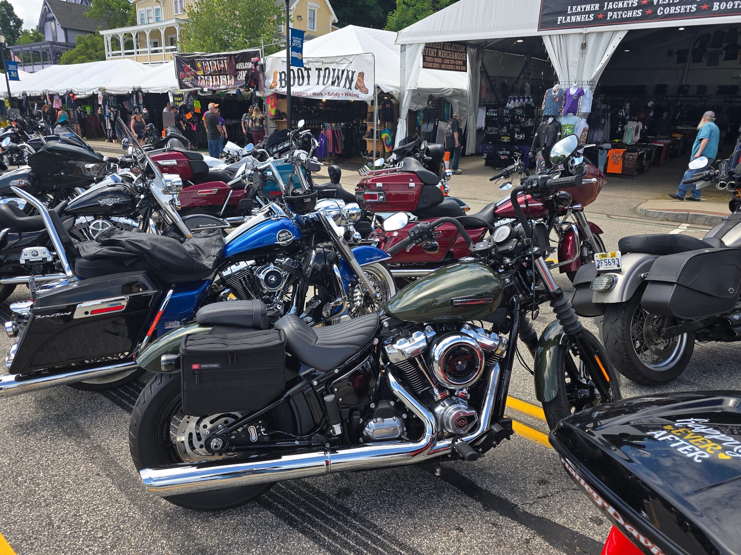 Customer photo review of 18L - Patriot Medium Motorcycle Throw Over Saddlebags for Harley Softail Street Bob FXBB/S
