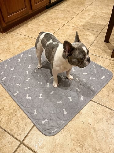 Customer photo review of SniffPad™