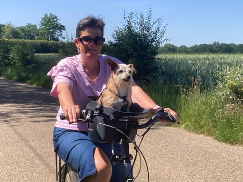 A reviewer rides their bike down a paved country path with their small dog sitting in the Kvisp Dog Bike Carrier.