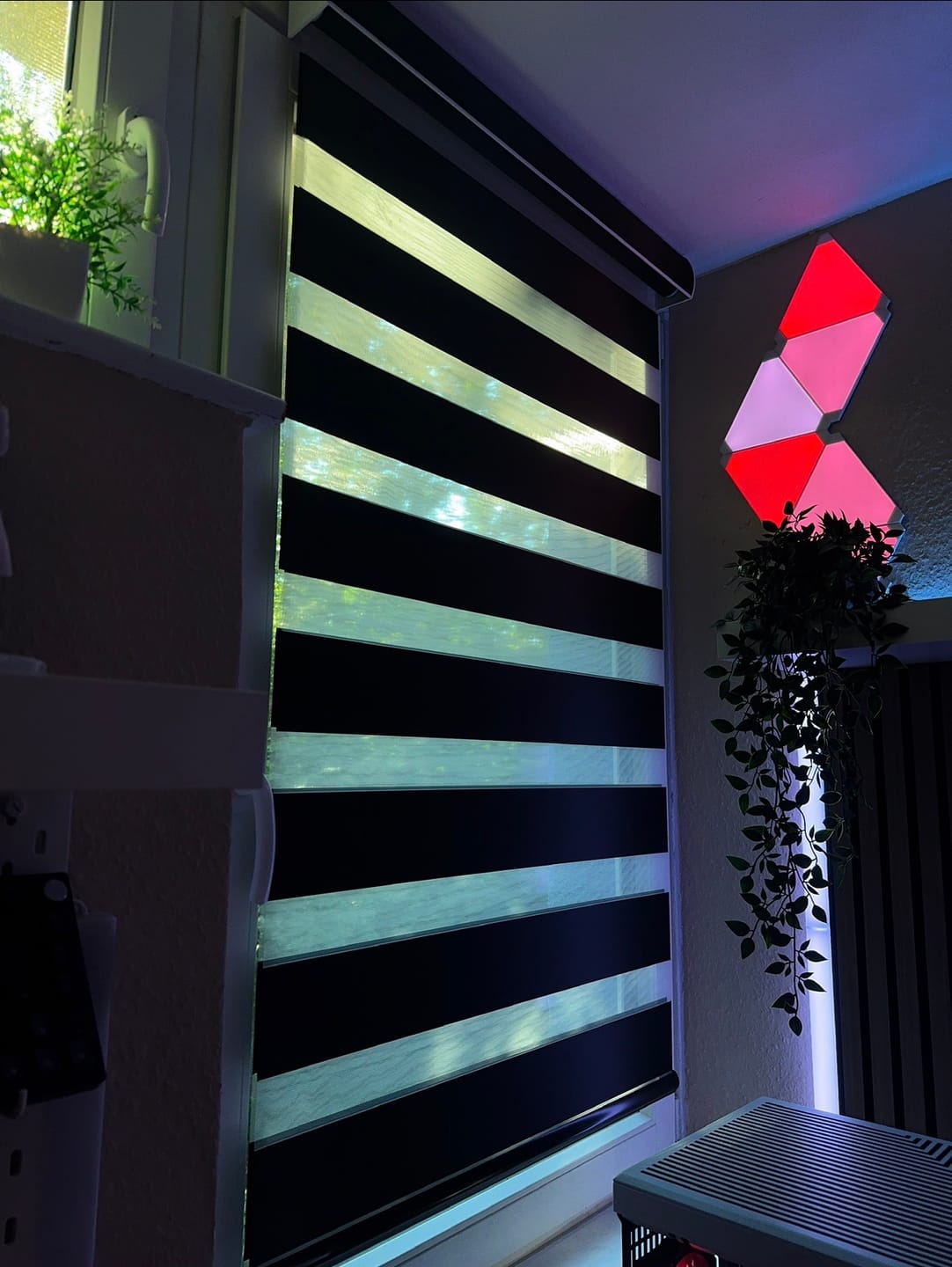 Customer photo review of SmartWings Motorized Zebra Shades 100% Blackout 95mm Chloris