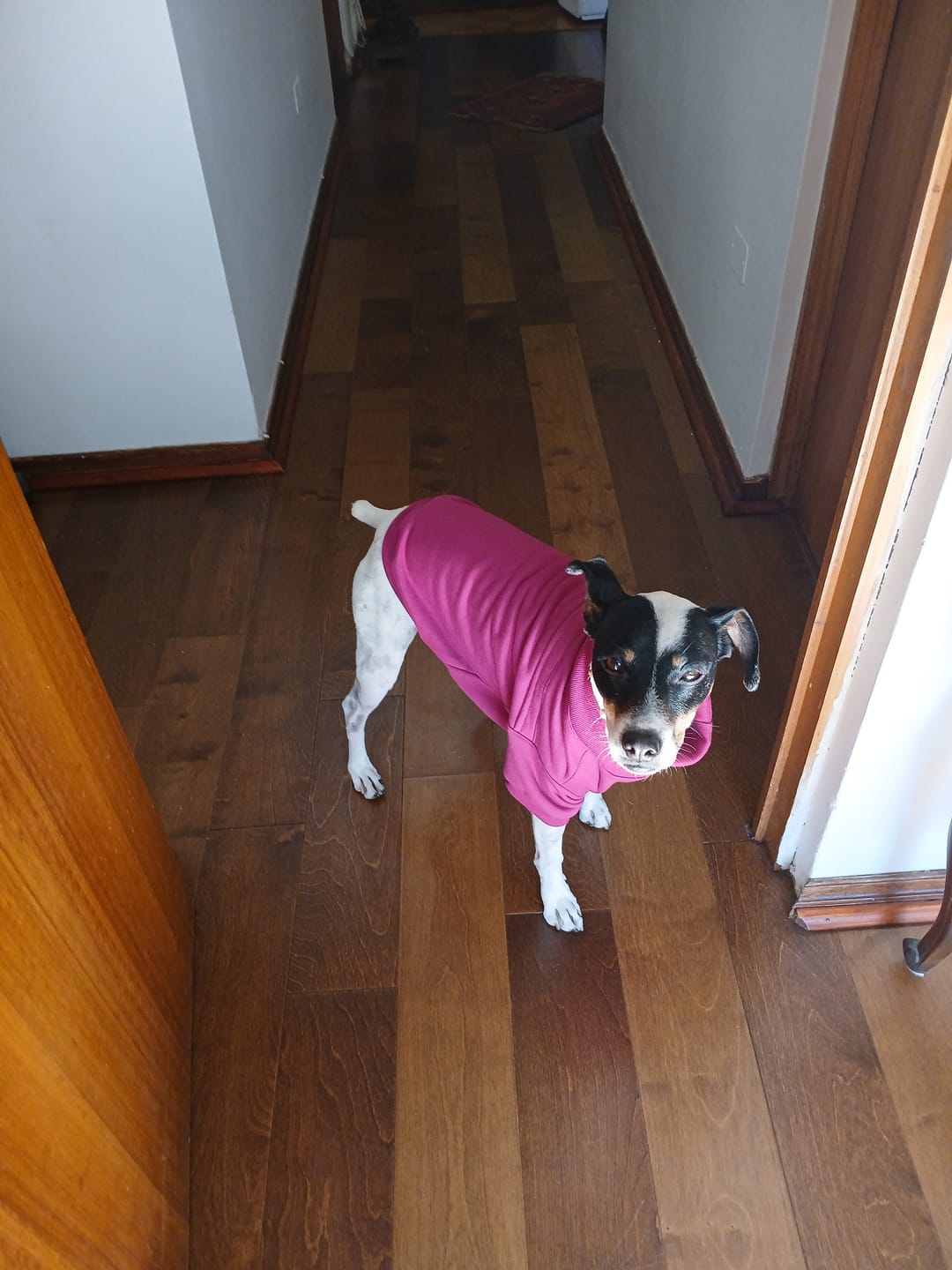 Customer photo review of Poleron Altitud Magenta