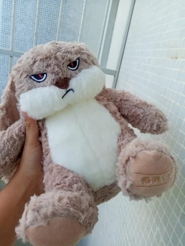 Customer photo review of Pompón™ El Conejito Gruñón Más Abrazable del Mundo