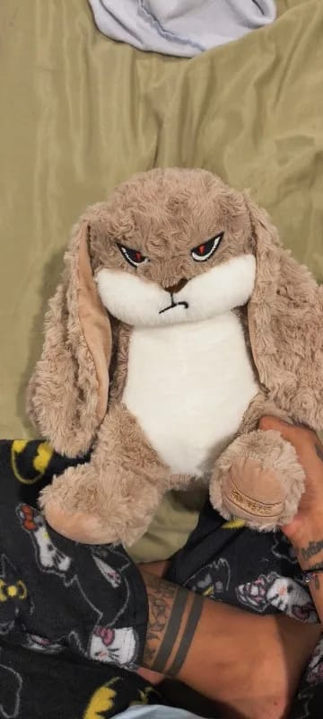 Customer photo review of Pompón™ El Conejito Gruñón Más Abrazable del Mundo