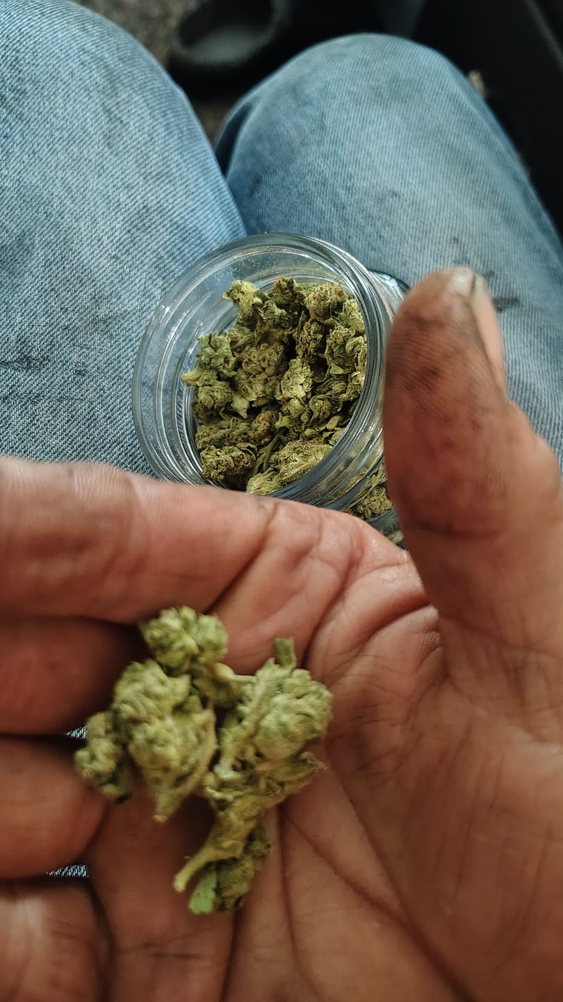 Customer photo review of Legendary Honey Crystal Gorilla Glue 3.5G (BOGO)