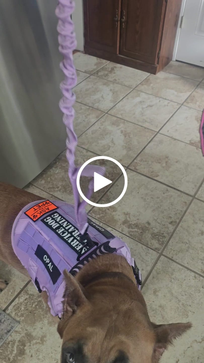 Customer video review of Team K9® Custom Harness Patch (Printed Pair)
