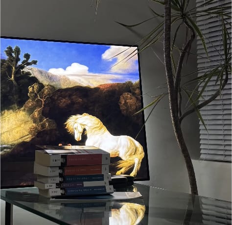 Customer photo review of LED Poster Frame - Turn Any Poster Into a Professional Display