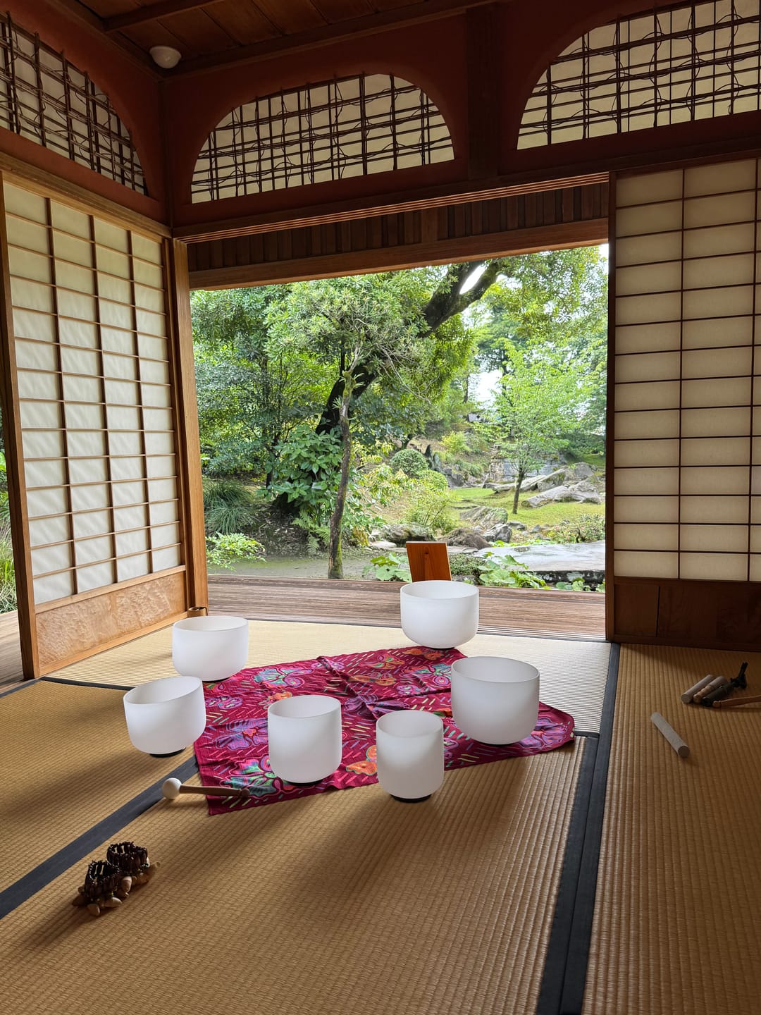 Customer photo review of Learn to Play the Crystal Singing Bowls Like Travis