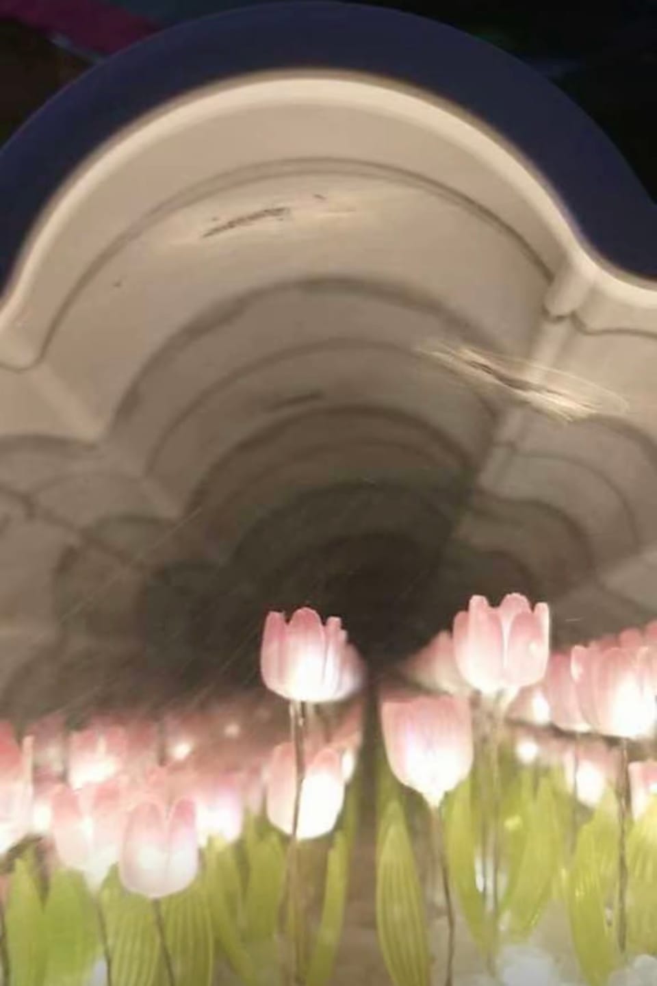 Customer photo review of Hidden Bloom Cloud - 2-in-1 Mirror Tulip Night Lamp