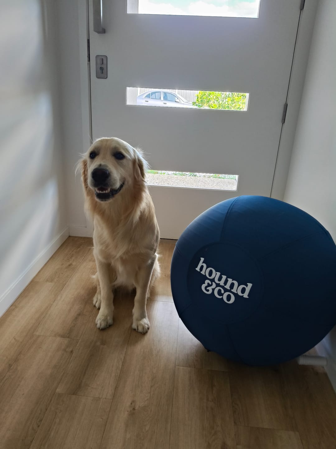 Customer photo review of Herding Ball