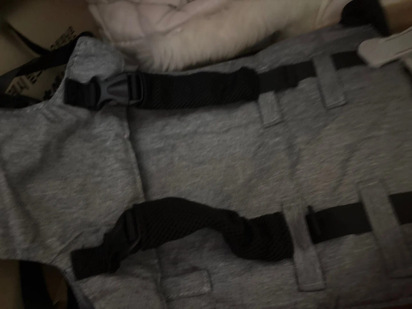 Customer photo review of CozyBub™ Travel Chair Harness