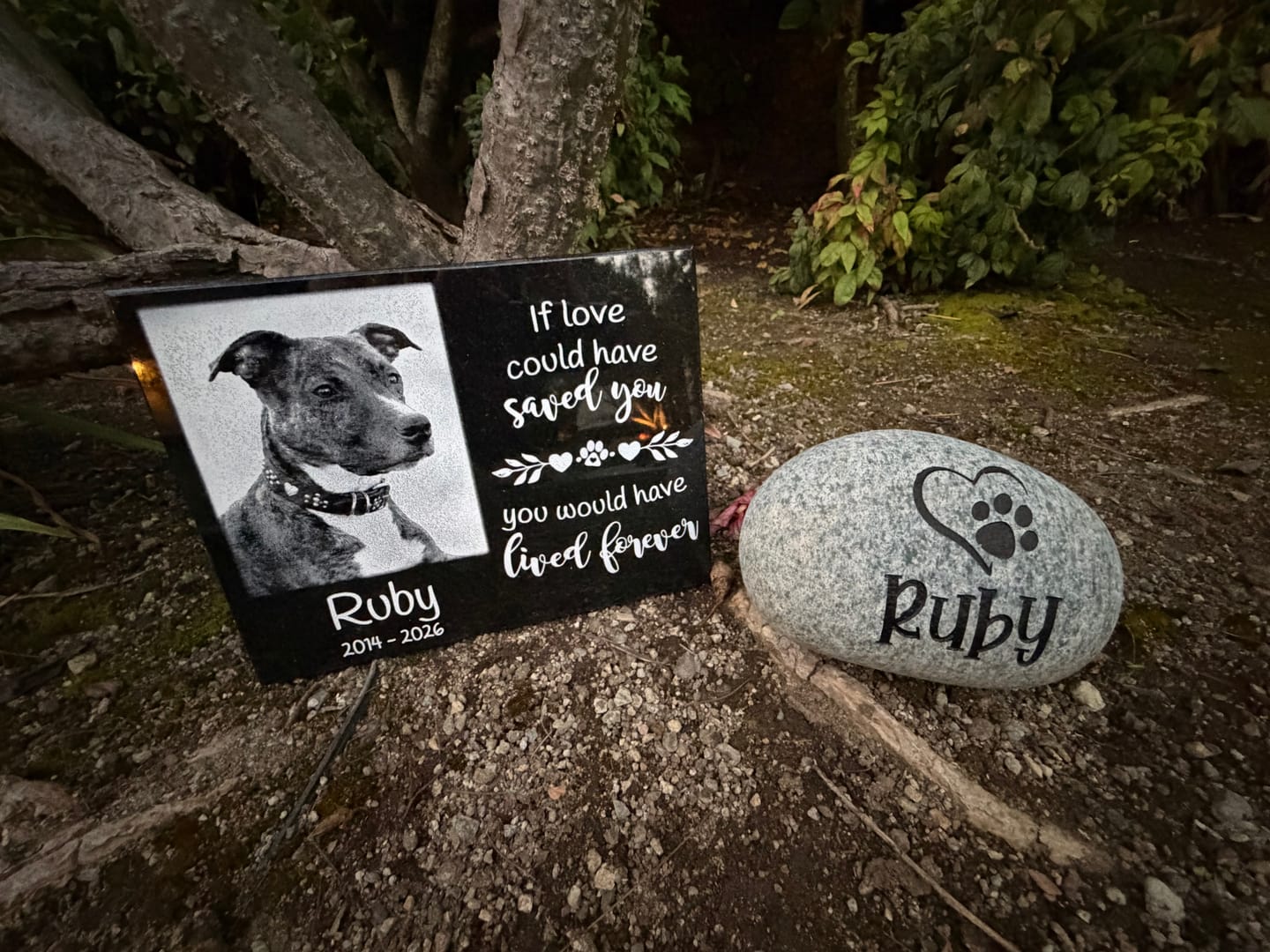 Customer photo review of Outdoor Personalized Dog Memorial Plaque If Love Could Have Saved You Personalized Outdoor Plaque