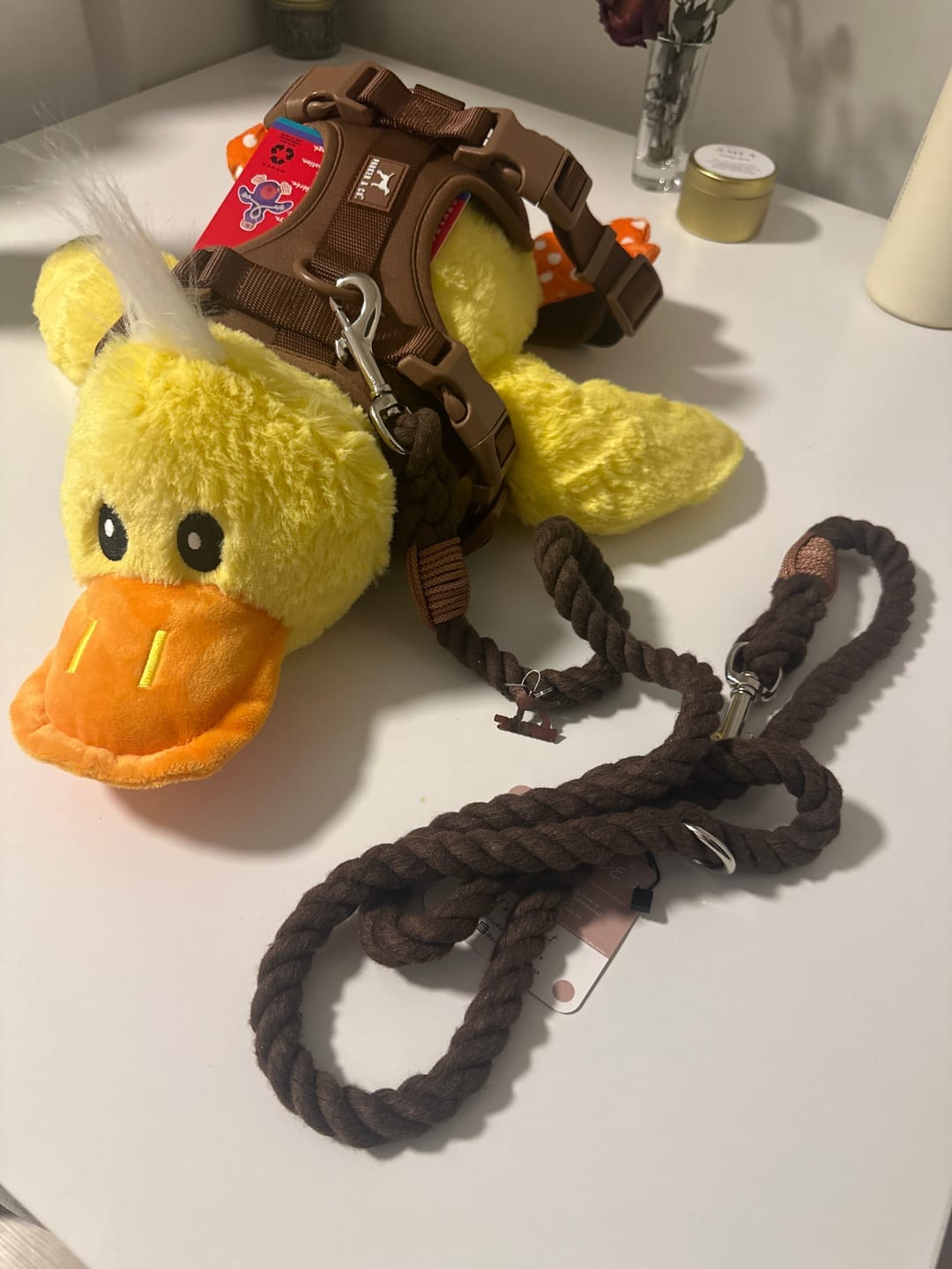 Customer photo review of 6-IN-1 Hands Free Cotton Rope Dog Leash