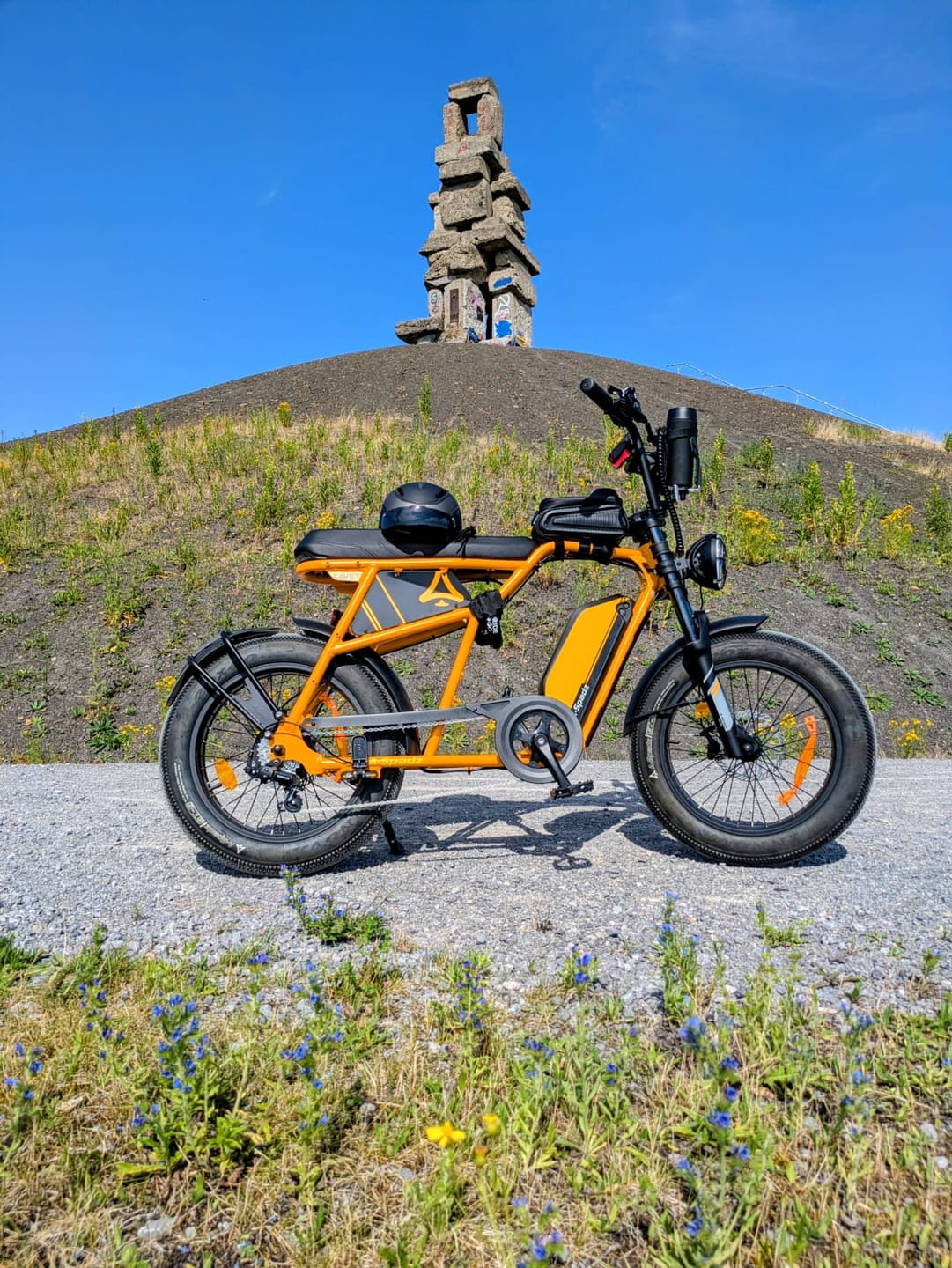 Customer photo review of Top-Tube Bag