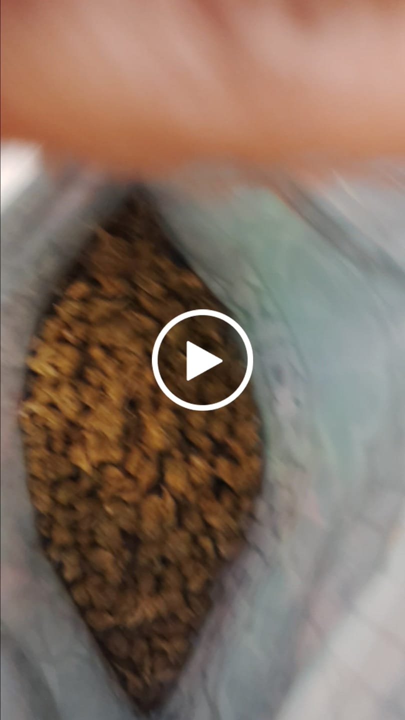 Customer video review of QP of Smalls - Bulk - Misc - 1/4 Pounds
