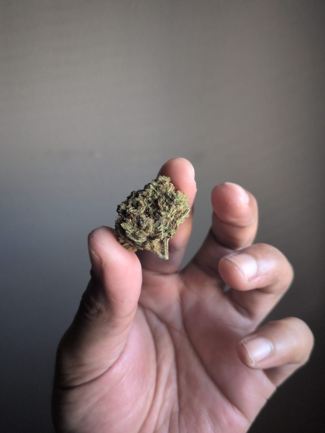 Customer photo review of Super Lemon Haze - 14 Grams - Sativa