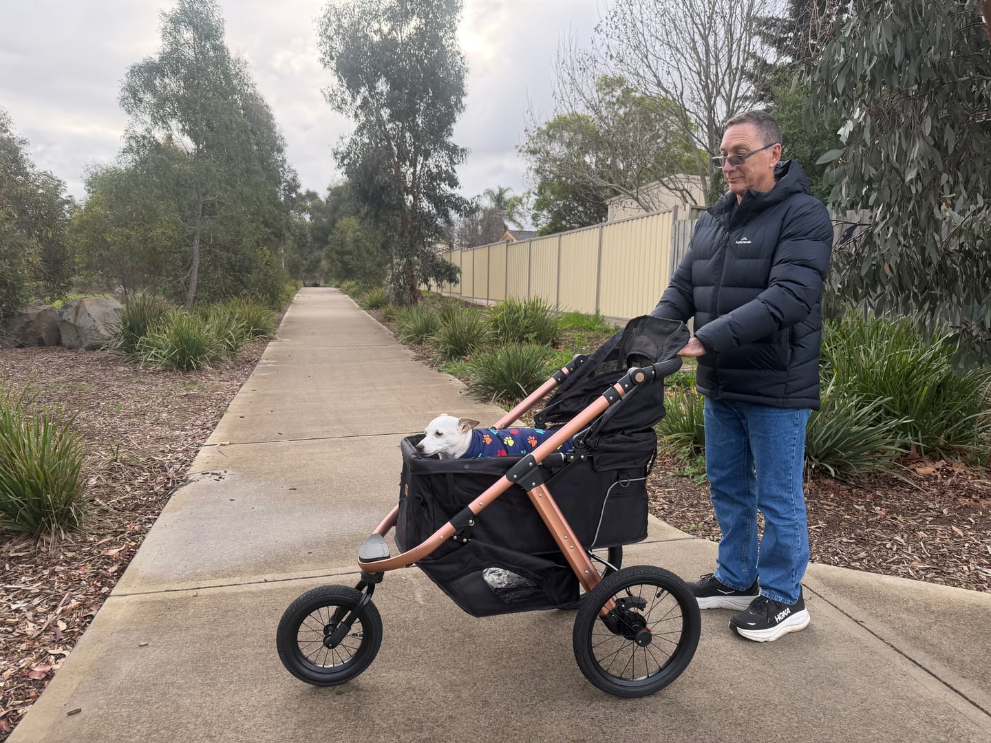 Customer photo review of Sports Large Pet Stroller