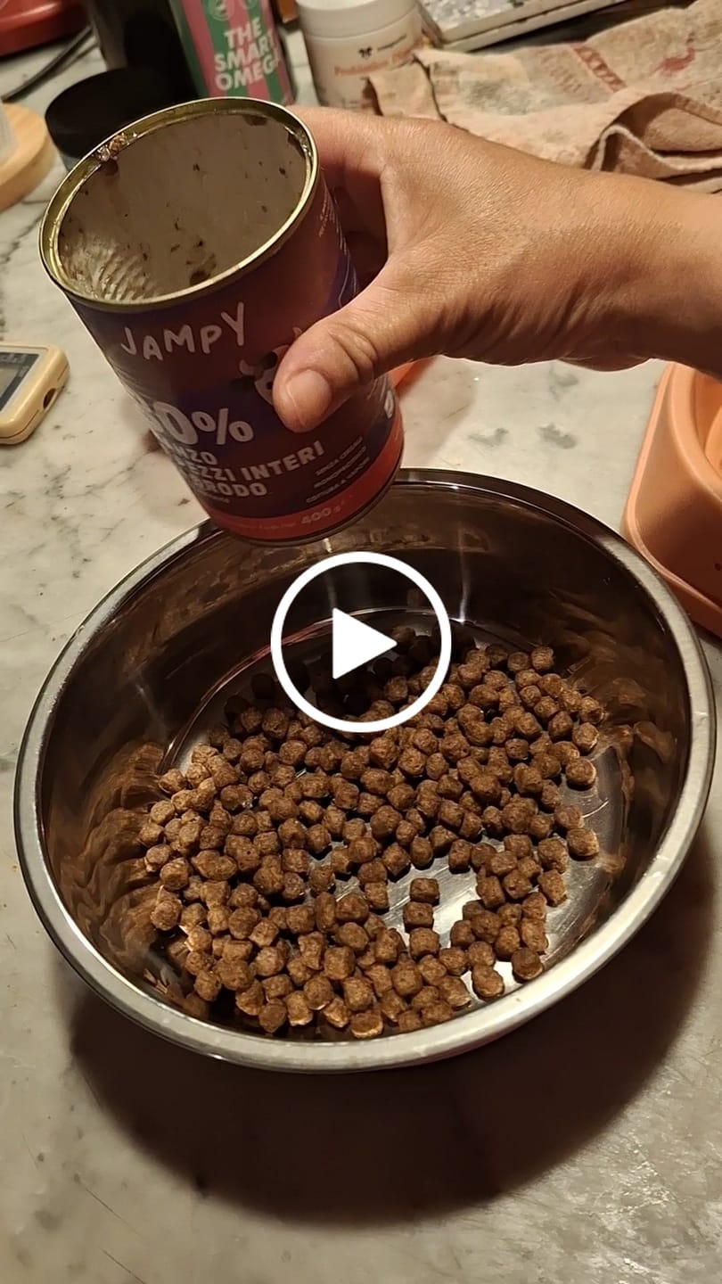 Customer video review of My Name is Manzo