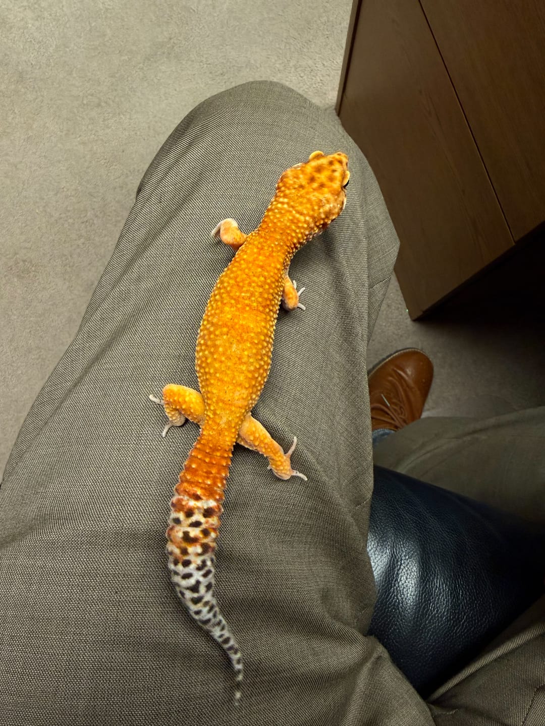 Customer photo review of Male Mandarin Inferno Emerine