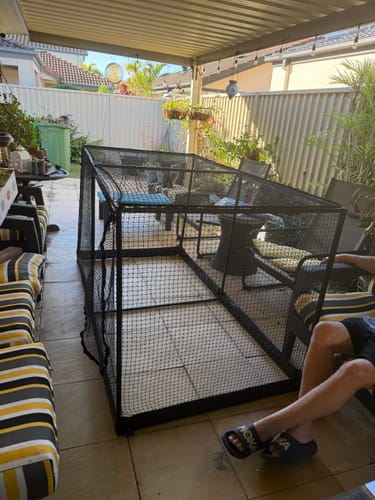 Customer photo review of The Cat Cabana Cat Enclosure 2.0m
