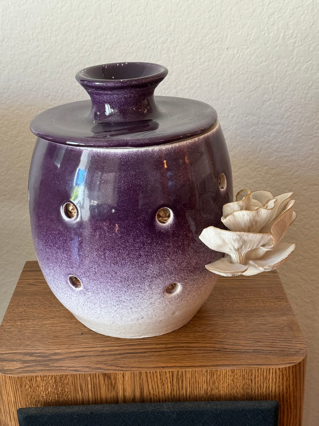 Customer photo review of Mushroom Spawn Bags (Made-to-Order)