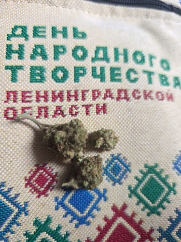 Durban Poison - Bulk - Sativa photo review