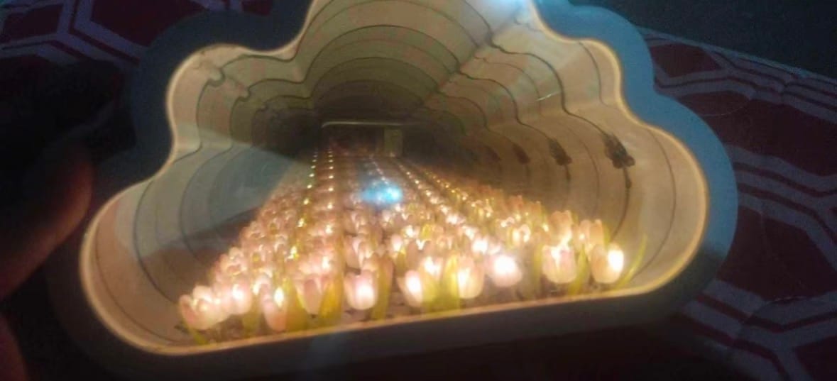 Customer photo review of Hidden Bloom Cloud - 2-in-1 Mirror Tulip Night Lamp
