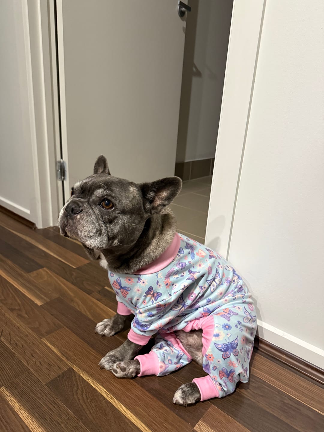 Customer photo review of Dog Pajama - Butterfly