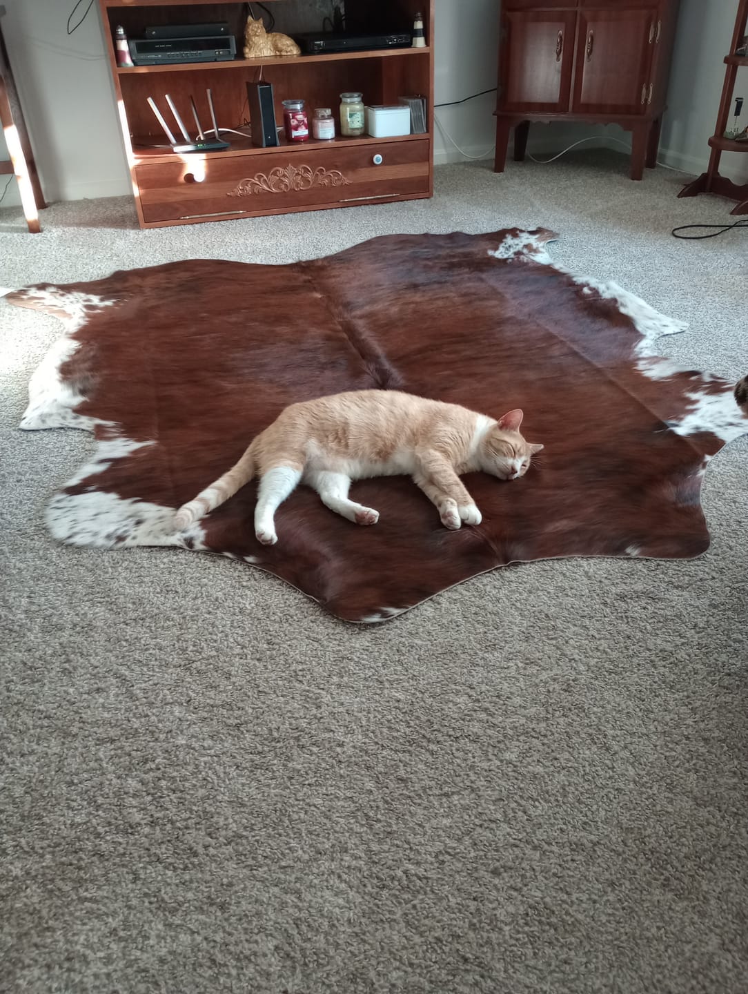 Customer photo review of SUPER SALE Brindle Natural Cowhide Rug - Large 6'10"H x 6'2"W