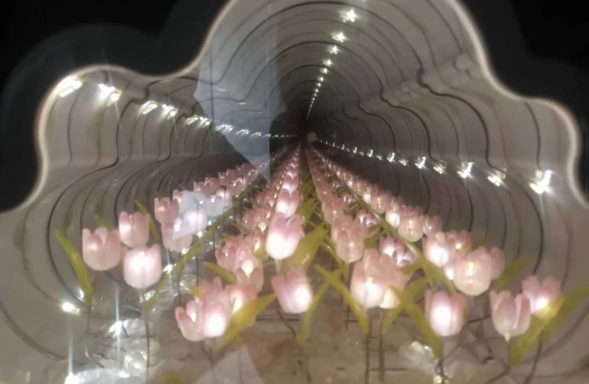Customer photo review of Hidden Bloom Cloud - 2-in-1 Mirror Tulip Night Lamp