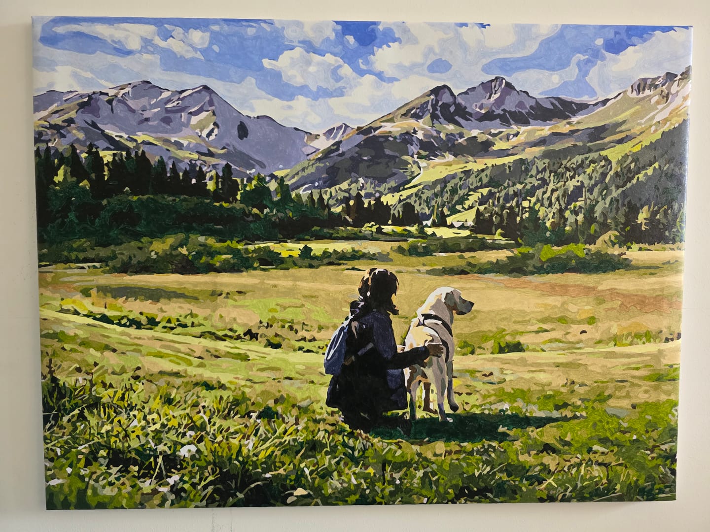 Customer photo review of Extra Paint Kit to Elevate Paint by Numbers Experience