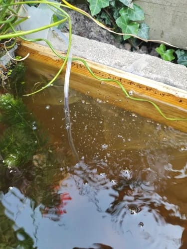 Customer photo review of Calviro AquaFlow™ Zonne-energie Vijverbeluchter