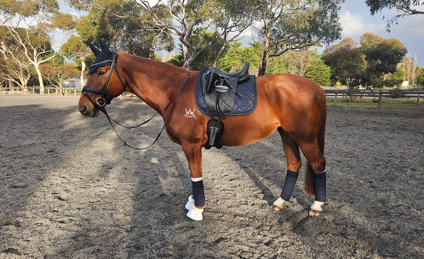 Customer photo review of Ulcer Armour+