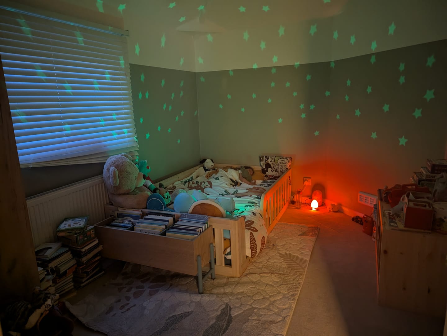 Customer photo review of Roomix Transition Toddler Bed Natural