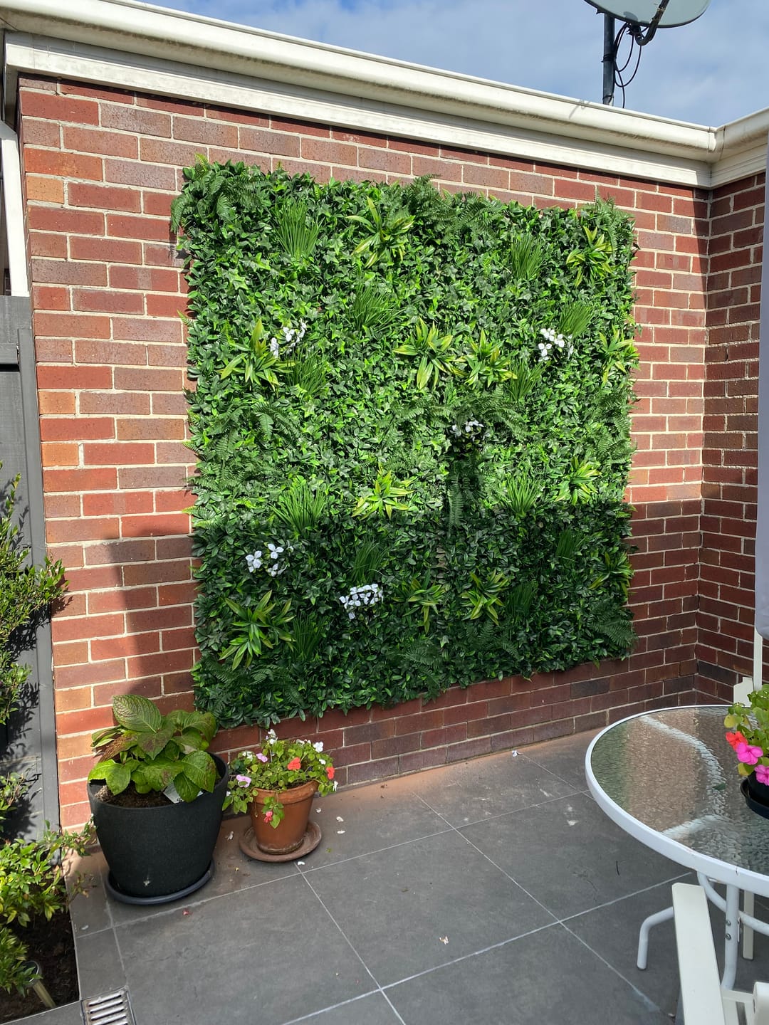 Customer photo review of Luxury Flowering White Jasmine Vertical Garden Green Wall Panel 1m x 1m – SGS UV Resistant