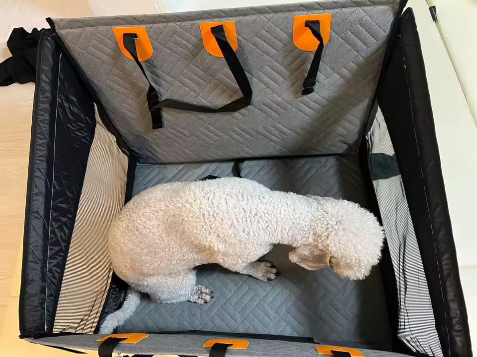 Customer photo review of Paw Protect - Hard Bottom Single Seat Cover
